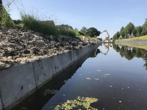 bamboe provincie drenthe1