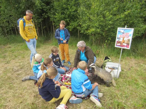 big five bezoekerscentrum ruinen