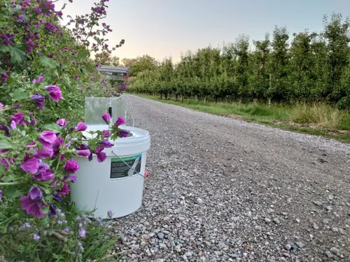 bimag ledemmer bij windhaag foto door lena zevenbergen