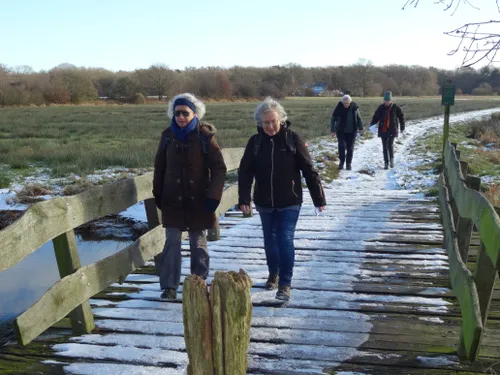 bloemberg vr van nu wandeling2