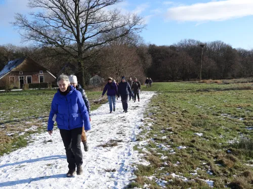 bloemberg vr van nu wandeling3