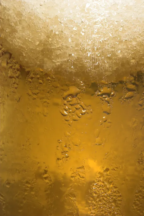 bushscapes foter cc by sa