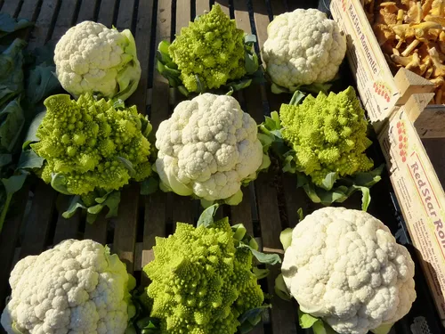 cauliflower 68791 960 720