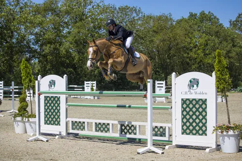 ch karfield zuid23l55263 duurste paard