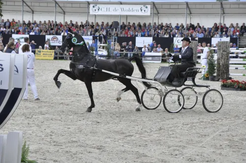 ch van middelaar archief foto ch de wolden fred lubbers