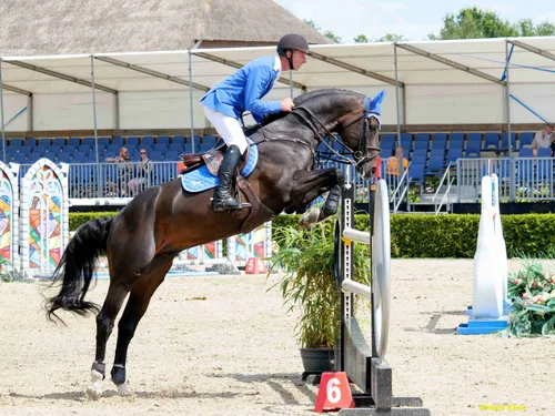 ch vrieling jur wolden 2022 02 foto hans khoe