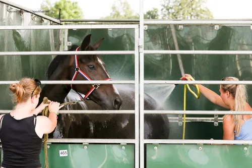 ch warmte spoelen sdn 30883 1 002