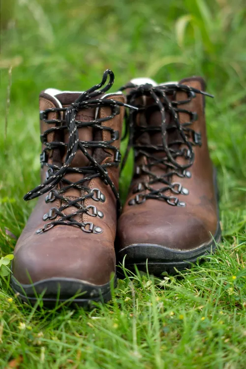 cobaltfish foter cc by sa