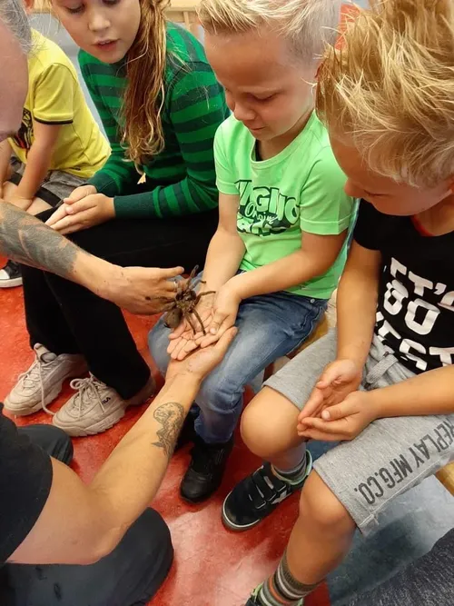 de wijk wolderwijs freek vonk2