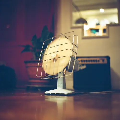 denisdenis foter cc by