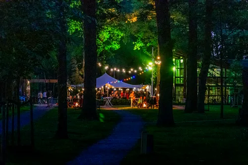 diever shakefestival1