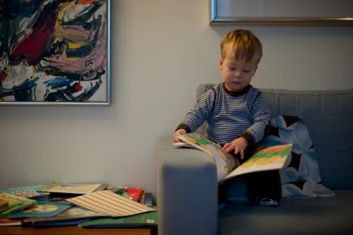 dreumesboek4lars plougmann foter cc by sa