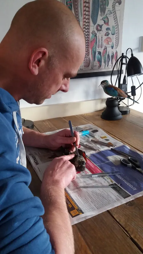 drfrw karst aan het werk 1