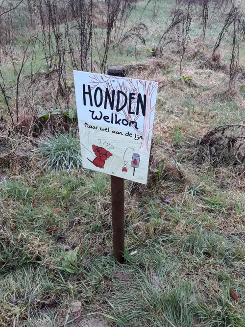 drogteropslagen zoemt3