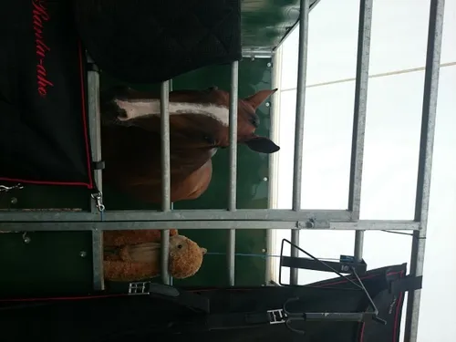 dsc 0218 e1437160635501