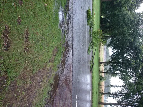 dsc 0289 e1437862859260