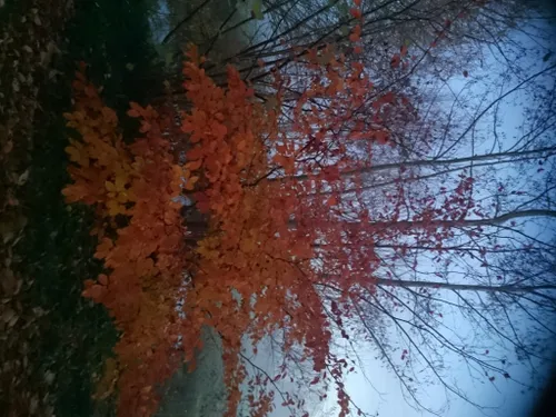 dsc 0301 medium e1448672860995