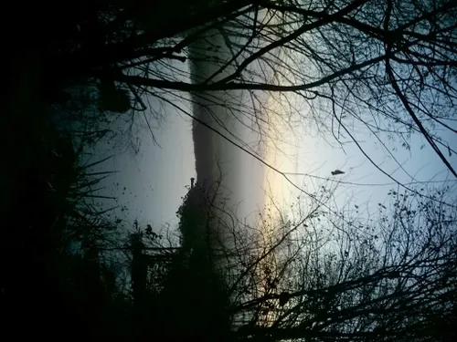 dsc 0302 medium e1448672889943