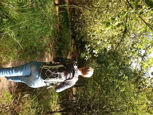 dsc 0815 e1475786676649