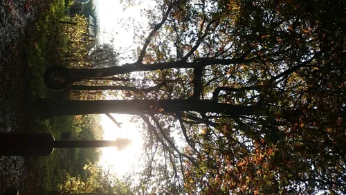 dsc 1378 medium e1450123363146