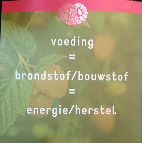 dsc 1956 e1454859717658