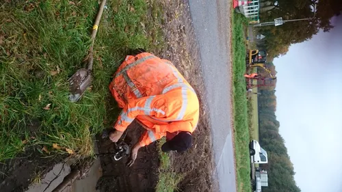 dsc 3672 large e1477692993629