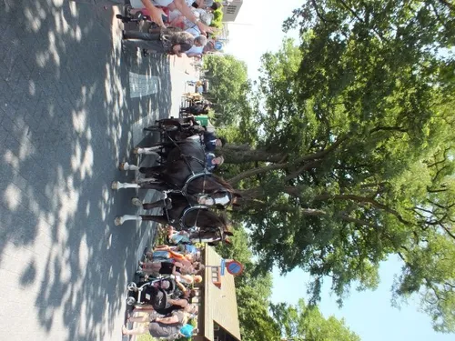 dscf2577 e1436719629840