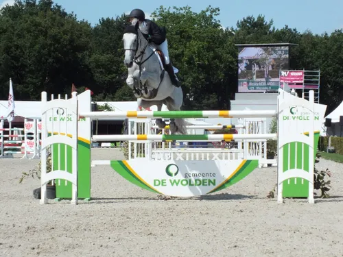 dscf2870 medium kopie