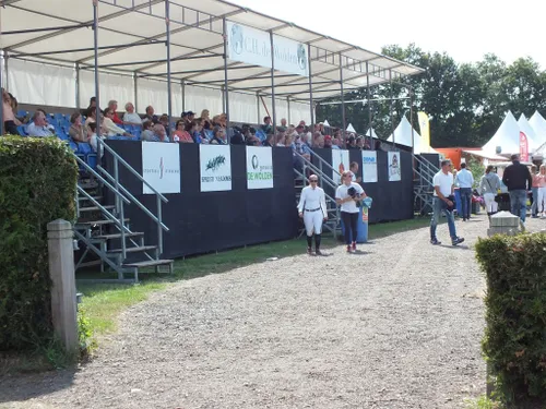 dscf2884 medium kopie