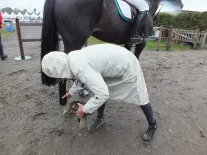 dscf3066 medium 300x225