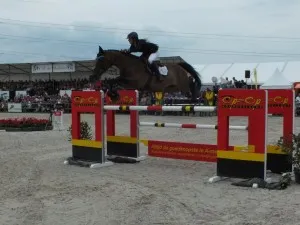 dscf3200 medium 300x225