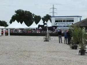 dscf3207 medium 300x225