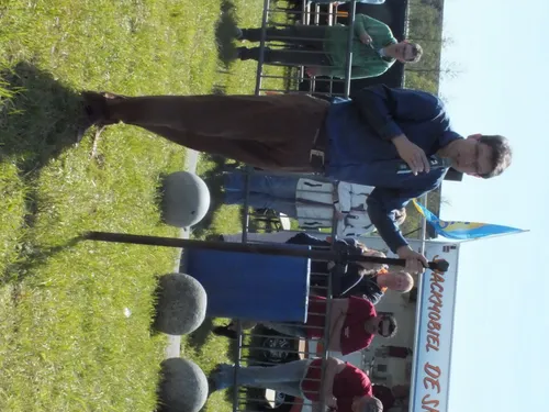 dscf7147 e1462454182645