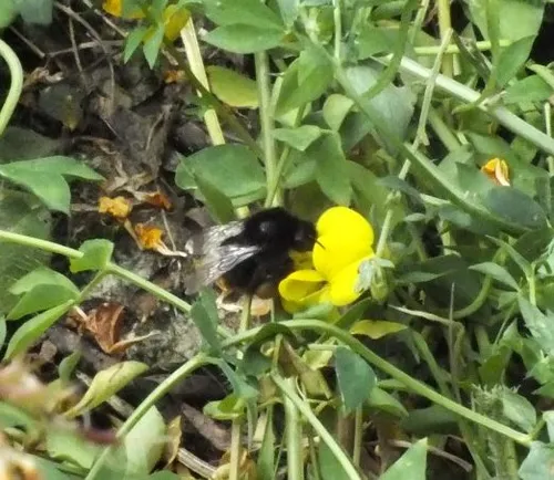 dscf78491 e1465574856426