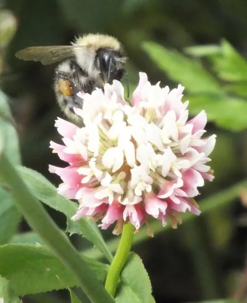 dscf7850 e1465574228458