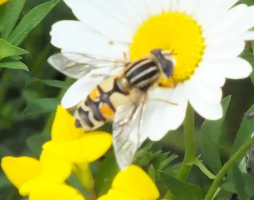 dscf7852 e1465574168614