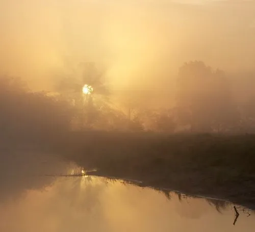 dwingelderveld anneke hooijer