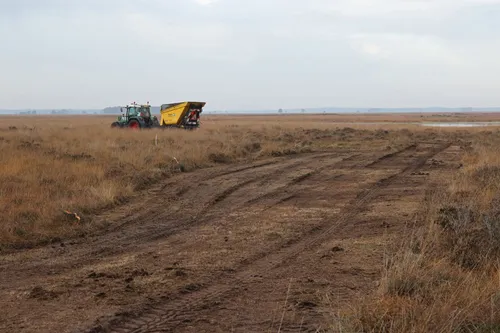 dwveld ej9a2278ahenckel