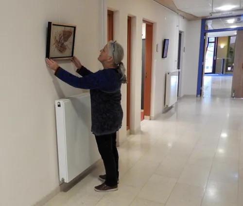 expo zwaantje ten have gemeentehuis1