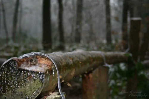 fb img 1453981564536