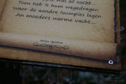 fb img 1453981567571