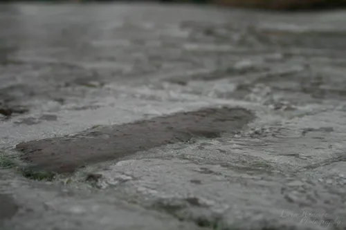 fb img 1453981576318