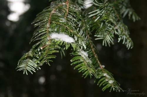 fb img 1453981578441