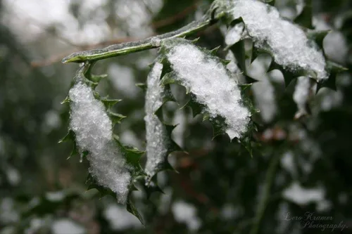 fb img 1453981585421