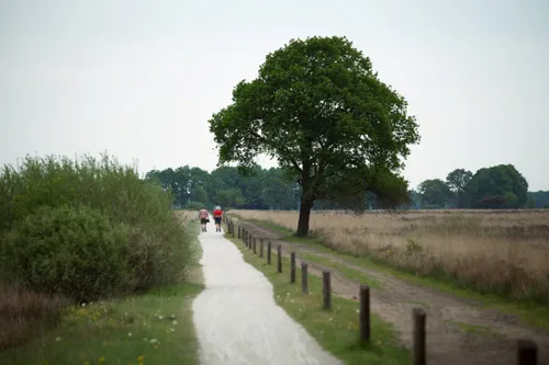 fcdw annekehooijer dwingelderveld medium