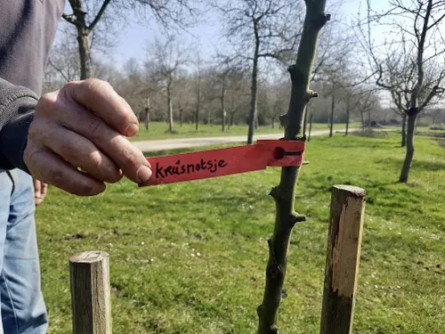 frederiksoord fruithof2