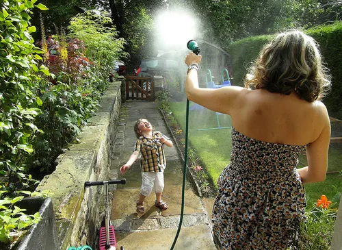 harry potts foter cc by