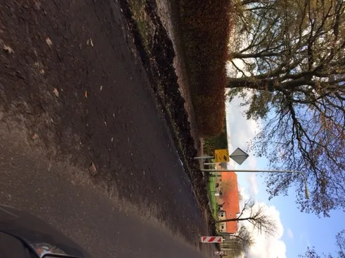 img 4715 e1448358967517