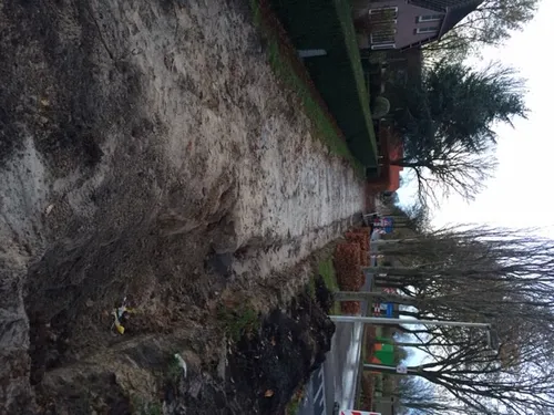 img 4771 e1448359123464