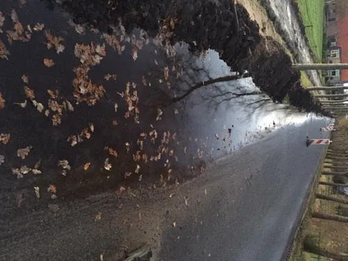 img 4780 e1448359201994